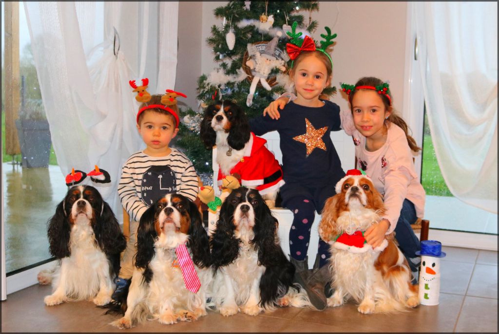 Des Petits Artistes - Joyeuses fêtes de fin d'année 