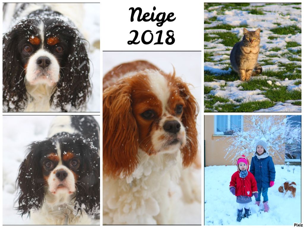 Des Petits Artistes - Neige 2018. 