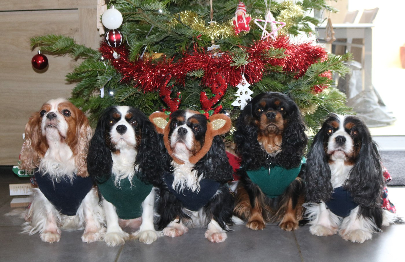 Meilleurs Voeux 2026