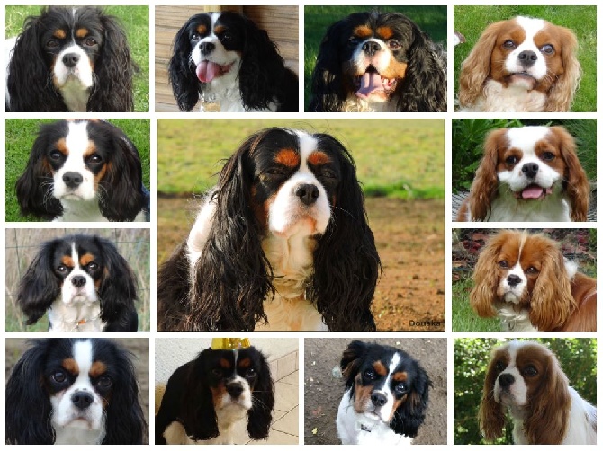 Des Petits Artistes - Montage photo.