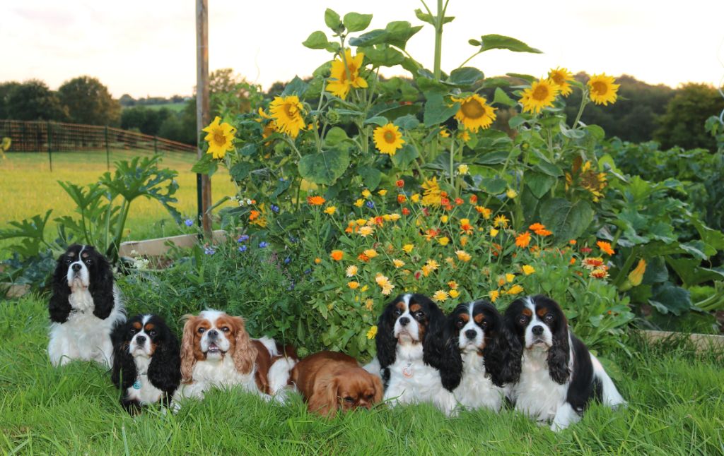Des Petits Artistes - Mes fifilles dans le jardin